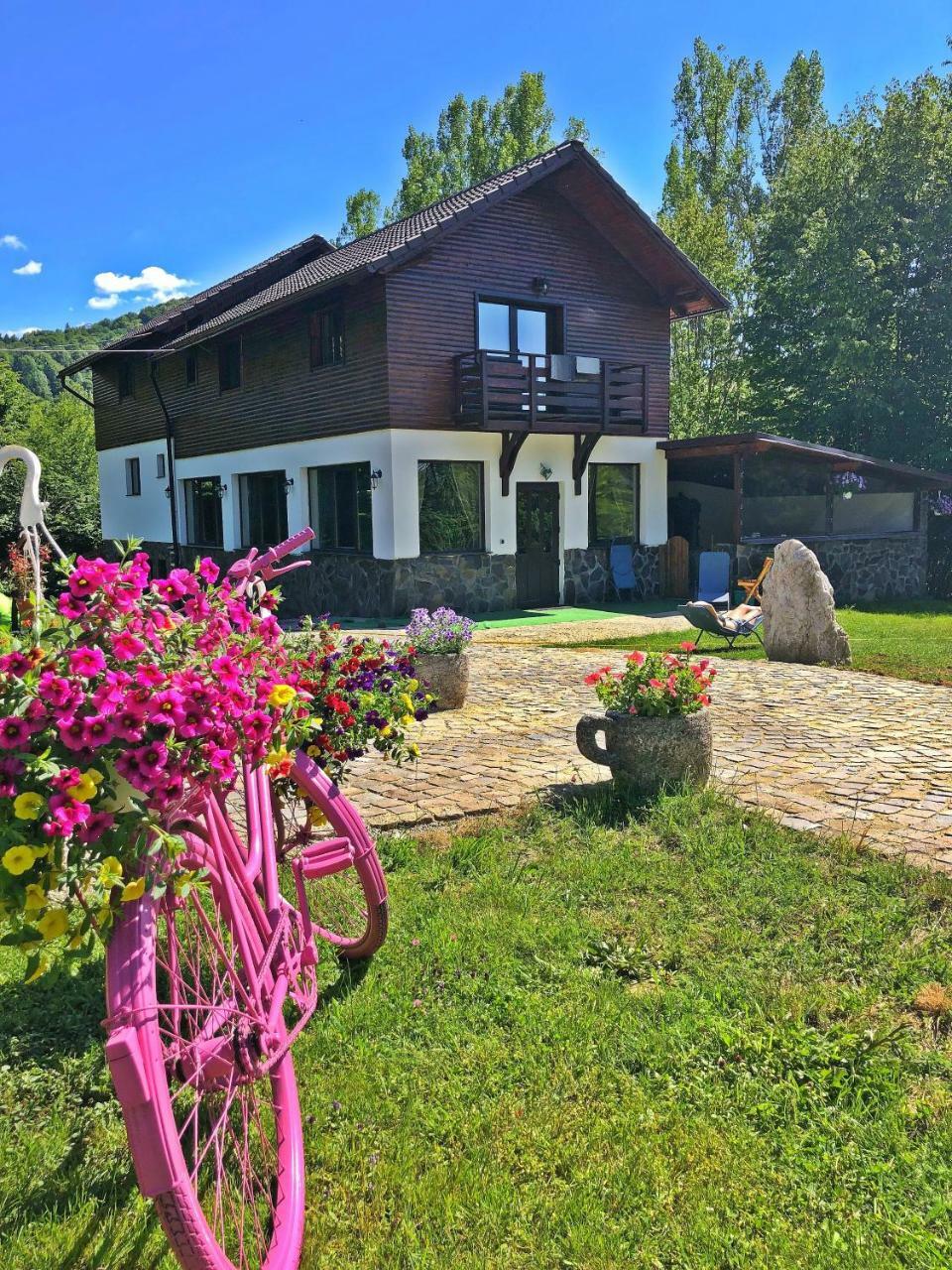 Cabana Din Groapa Frumoasa Rîşnov Ngoại thất bức ảnh